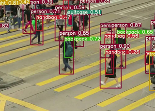 Linceo visual detection